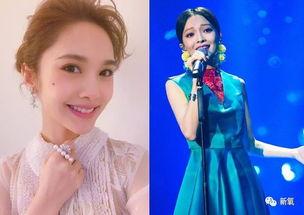 明星网红切片项目有哪些,内容创新与商业价值解析