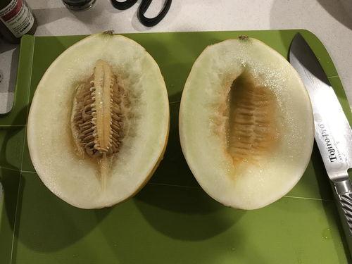 今日恩施瓜,探寻湖北恩施的独特瓜果魅力