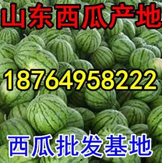今日产地蒲瓜价格表,今日产地蒲瓜价格波动分析