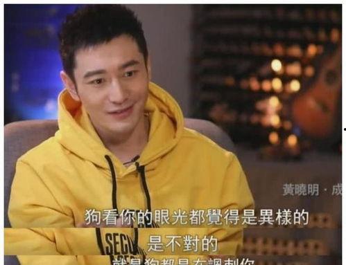 喜剧明星网红直播间排名,笑点满满，谁才是直播界的喜剧之王？