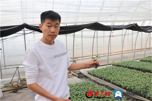 今日李新庄瓜价,揭秘瓜农收益新动向”