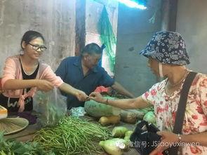 南京卖菜明星网红有哪些,菜市场里的璀璨明星