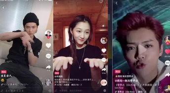 明星网红套裙视频大全集,明星网红套裙穿搭视频大全集解析