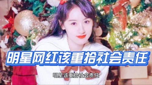 明星网红对社会的贡献,影响力与公益双响曲