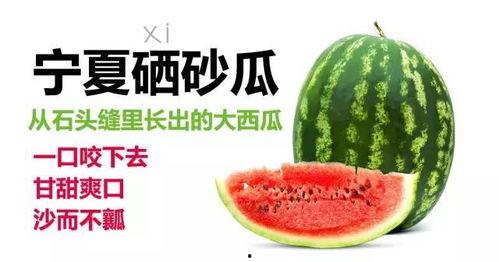 宁夏硒砂瓜今日行情,今日行情火爆，品质优良备受青睐”