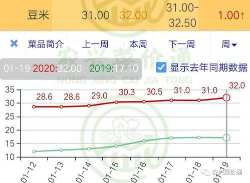 今日旱瓜价格行情走势,今日行情走势解析