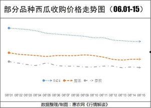 今日旱瓜价格行情走势,今日行情走势解析