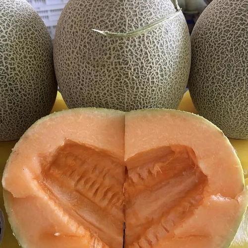 新疆哈密瓜今日价,甜蜜滋味，价格行情一览”