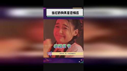 奶狗明星网红是谁,人气爆棚的青春偶像