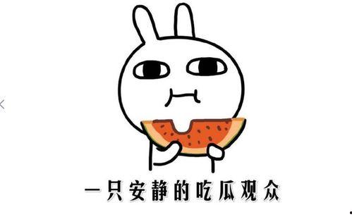 网上吃瓜的意思,揭秘网友围观背后的娱乐狂欢